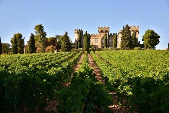 Bienvenue Chez Shiva Apartman Châteauneuf-du-Pape Kültér fotó