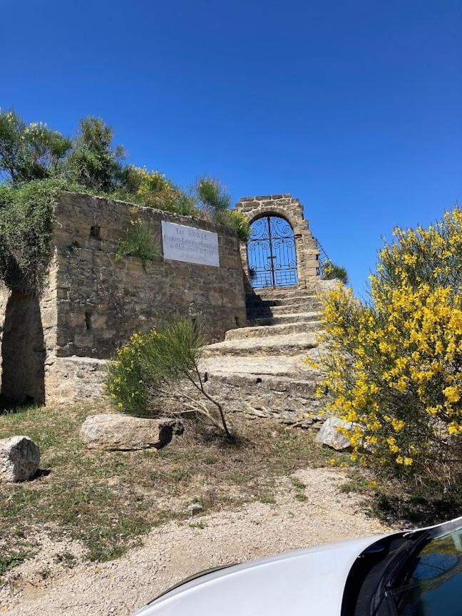 Bienvenue Chez Shiva Apartman Châteauneuf-du-Pape Kültér fotó