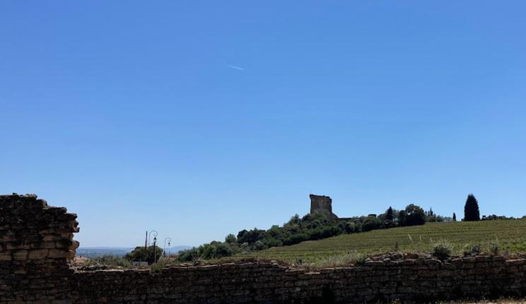 Bienvenue Chez Shiva Apartman Châteauneuf-du-Pape Kültér fotó